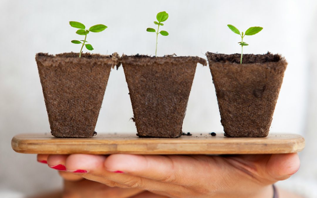 How High-Performing Teams Use Lost Deals to Win Future Business